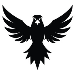 Obraz premium eagle with wings