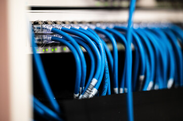 A close-up shot of blue network cables connecting to a server, highlighting the organized setup of...