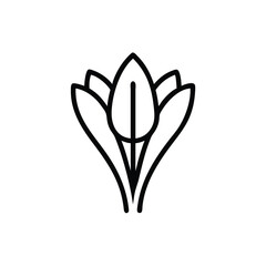 Simple Saffron Flower Vector Icon Minimalist Floral Design Element Illustration