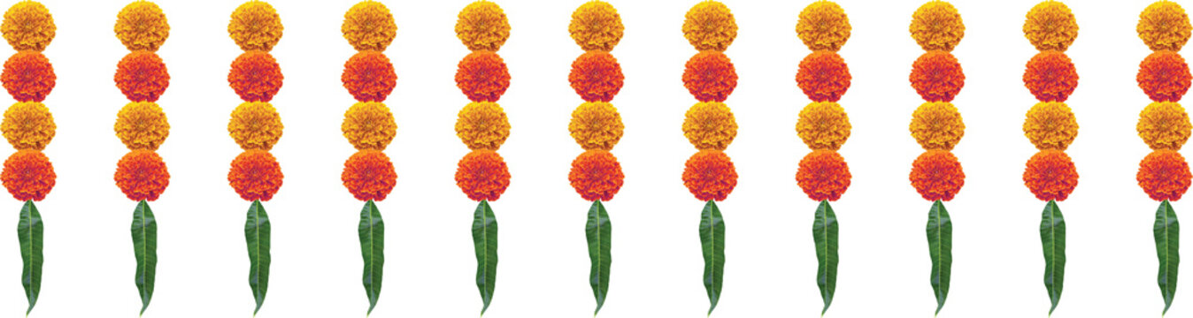 Double shade marigold with leafs stripe festive decoration