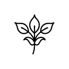 Minimalist Black Line Art Illustration Of Three Leaf Plant Icon