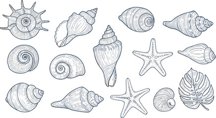 Set of hand drawn seashells drawing ink. Minimalist line art. Summer vacation design elements for trendy prints, label, menu cover. 