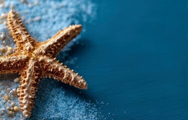 Starfish on Sand Against a Blue Background Coastal Still Life