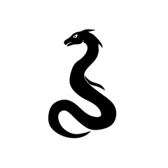 black and white snake