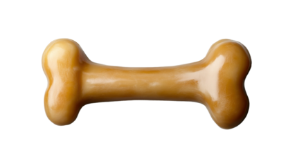 dog bone isolated on white