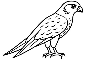 Graceful Kestrel Drawing