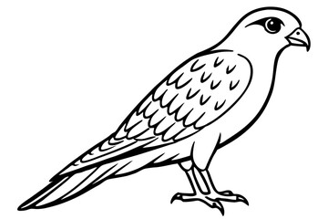 Graceful Kestrel Drawing