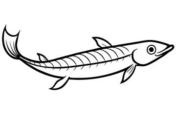 Graceful Oarfish Illustration