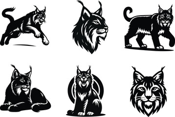 Fototapeta premium Set of Lynx Illustrations, Detailed Iberian Lynx Cat Face Illustration Perfect for Wildlife Posters and Decor