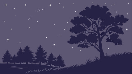 winter night landscape