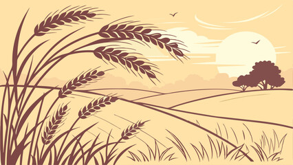 field of wheat