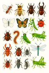 insect, bug,nature, butterfly,mantis,ladybug,honeybee,a stag beetle,rhinoceros beetle,곤충,사슴벌레,나비,사마귀,메뚜기,장수풍뎅이,잠자리,거미,여치,꿀벌,