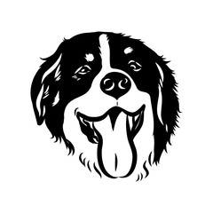 Bernese mountain dog - isolated vector illustration