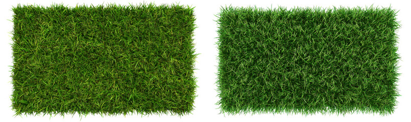 Top View Grass Carpet Texture from Top View Perspective Isolate on Transparent Background, cutout, png