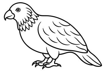 Kestrel Abstract Linework