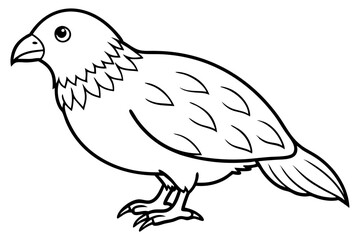 Kestrel Abstract Linework