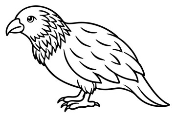 Kestrel Abstract Linework