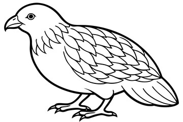 Kestrel Abstract Linework