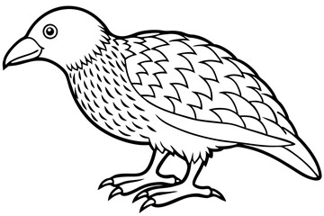 Kestrel Abstract Linework