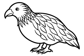Kestrel Abstract Linework