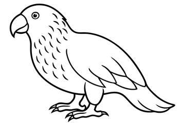 Kestrel Abstract Linework