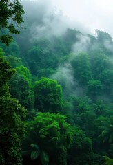 Dense emerald canopy, steam rising, lush vegetation, August humidity, light, shadows, climate