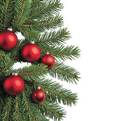 Red ornaments on fir branch on transparent background