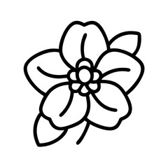 begonia flower line drawn vector art - illustration begonia flower isolated transparent background