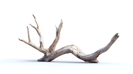 Fototapeta premium Abstract wood natural form photo