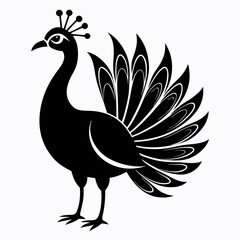 Fototapeta premium Elegant Peacock Silhouette Vector Art