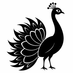 Elegant Peacock Silhouette Vector Art