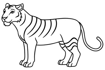 Liger Outline Vector