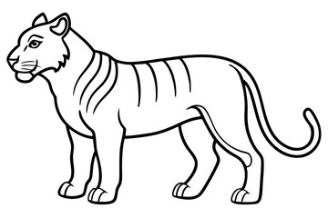 Liger Outline Vector