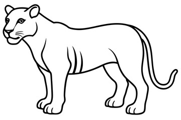 Liger Outline Vector