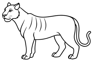 Liger Outline Vector
