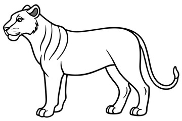 Fototapeta premium Liger Outline Vector