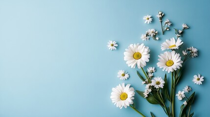 Daisy flower background light blue floral arrangement spring blossom flat lay aesthetic wallpaper 