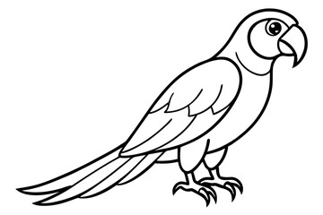 Macaw Line Drawing