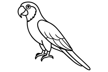 Macaw Line Drawing