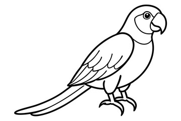 Macaw Line Drawing