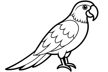 Macaw Line Drawing