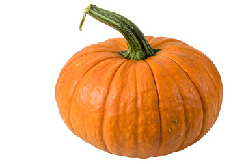 Obraz premium Single Orange Pumpkin with Stem Isolated on Plain Background.