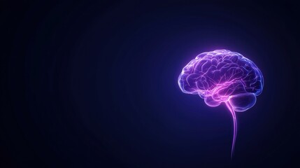 A glowing purple brain on a black background.