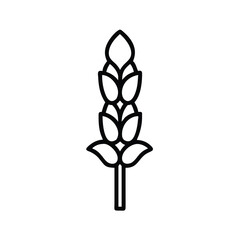 Simple Line Art Illustration Of A Wheat Stalk Minimalist Design Element