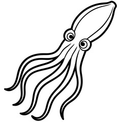 Elegant Squid Outline Illustration