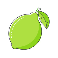 Illustration of a fresh green lime with leaf vector drawing for healthy food designs and art