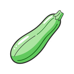 Isolated green zucchini vegetable illustration for healthy eating and cooking recipes design