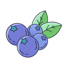 Fresh blueberry fruit illustration with leaves vector graphic for healthy food design