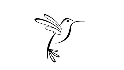 Minimalist Hummingbird Line Art Drawing – Elegant Black and White Bird Tattoo Design