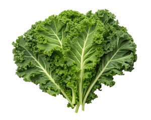 Fresh Curly Kale on White Background for Healthy, Vibrant Eating